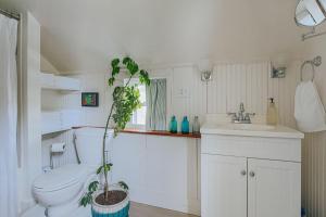 a bathroom with a toilet and a plant in it at The Mariposa in Staunton