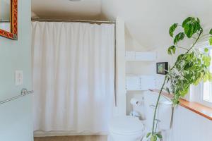 a bathroom with a white shower curtain and a toilet at The Mariposa in Staunton +41 photos