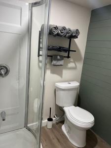 a bathroom with a toilet and a shower at Blue Bayou Dome Village in Dingwall