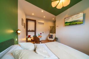 a bedroom with a bed with a green ceiling at Le Nid d'HAG in Haguenau