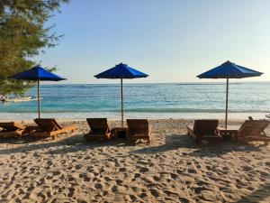 a group of chairs and umbrellas on a beach at Yaya Bungalows Blue Coral in Gili Meno