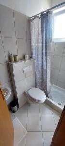 a white bathroom with a toilet and a shower at Ruža Vacation House in Međugorje +11 photos