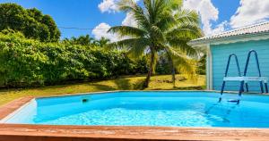 a swimming pool next to a blue house with a palm tree at Villa Arc-en-ciel in Le Moule