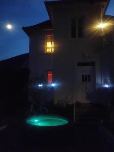 a house at night with a green object in front of it at Villa Le Marronnier, clim, Terrasse, Parking & Spa privé, calme, entre Colmar-Riquewihr et Obernai, Route des vins d'Alsace in Châtenois