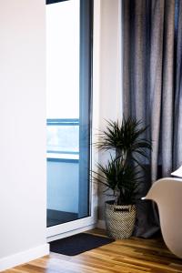 a room with a window and two potted plants on the floor at Apartamenty Grażyna Słodowiec in Warsaw