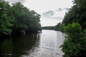 a river with trees on the side of it at Escale moulienne in Le Moule