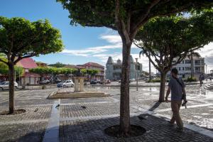 a man walking down a street with trees at Escale moulienne in Le Moule