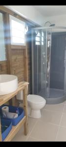 a bathroom with a toilet and a glass shower at Escale moulienne in Le Moule