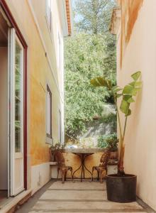 a patio with a table and a potted plant at Villa Luxa in Sintra