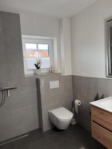 a bathroom with a toilet and a window and a sink at Grodehus-Eigener-Bungalow in Haby +16 photos