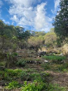 a dirt field with trees and a blue sky at Refugio La Paciencia in Travesía +22 photos