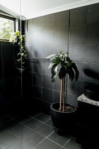 a black bathroom with a plant in a pot at The Artemis Cottage in Fitzroy +65 photos
