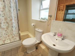 a bathroom with a toilet and a sink at Halford Hill in Llanberis +28 photos