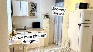 a small kitchen with a refrigerator and a sink at Black Forest Hideaway in Gernsbach +1 photo