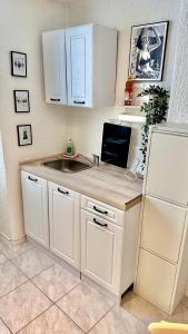 a kitchen with a sink and a white refrigerator at Black Forest Hideaway in Gernsbach