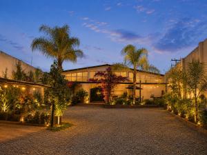 an exterior view of a building with palm trees at Hotel Bugambilia in Zimapán