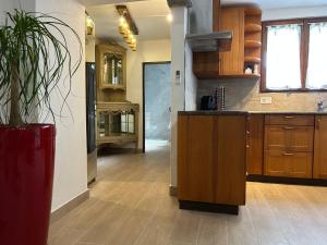 a kitchen with wooden cabinets and a potted plant at Pancuc Charme & Relax in Gordevio