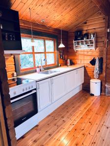 a kitchen with a stove and a sink in a cabin at Peaceful Holiday Home Close To Nature in Glesborg