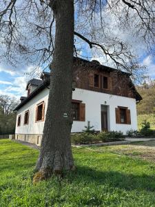 a tree in front of a white house at Apartmán - Ostrůvek 203 in Lesná