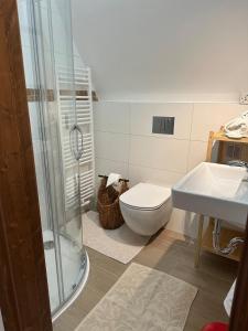 a bathroom with a shower and a toilet and a sink at Apartmán - Ostrůvek 203 in Lesná