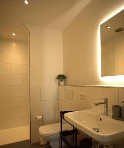 a bathroom with a toilet and a sink and a mirror at Trüffelhof 2 in Bodman-Ludwigshafen +12 photos