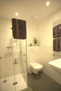 a bathroom with a shower and a toilet and a sink at Trüffelhof 1 in Bodman-Ludwigshafen +16 photos
