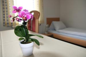 Voodi või voodid majutusasutuse Hotel Glärnisch Hof toas