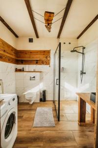 a bathroom with a washing machine and a shower at Klinwdzydze in Wdzydze Tucholskie