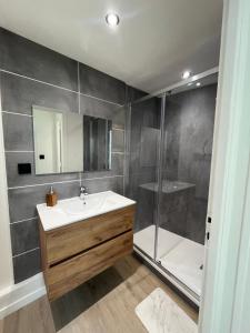 a bathroom with a sink and a shower at vannes évasion in Vannes