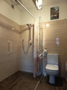 a bathroom with a toilet and a glass shower at Gościniec Villa Romana in Piecki