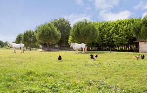 a group of chickens in a field with horses and chickens at Amazing Home In Lonnes With Heated Swimming Pool in Lonnes
