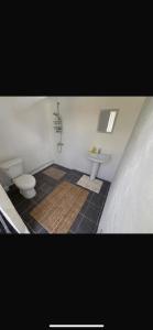 ein Badezimmer mit Toilette und Waschbecken in der Unterkunft Faatiarau in Fakarava