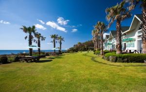 a park with palm trees and a building and the ocean at Jeju seawalk in Namwon