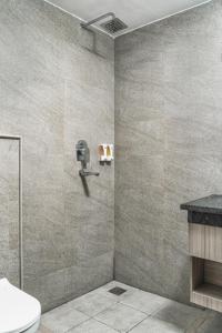 a bathroom with a shower and a toilet at Marlo Hotels in Kathmandu +37 photos