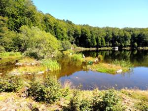 a view of a lake with trees in the background at Les Balcons du Sancy - Résidence de Tourisme in Picherande
