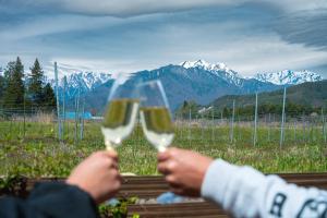 two people holding up wine glasses in front of a mountain at Zekkei in Omachi