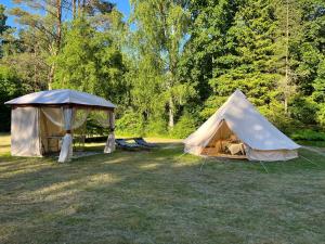 a tent in the middle of a field at Lahemaa Nature Glamping - Eha in Vihasoo