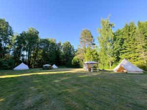 a group of tents in a field with trees at Lahemaa Nature Glamping - Eha in Vihasoo