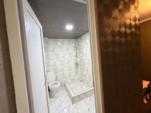 a small bathroom with a toilet and a shower at Grand hotel dmanisi in Dmanisi