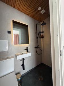 a bathroom with a sink and a mirror at Jakobsoni 15 Apartmendid in Viljandi +36 photos