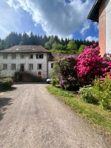 a house with flowers on the side of a gravel road at La Demeure des Forges in Grandfontaine