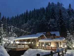a log cabin in the snow at night at CABANA MARIA-PETRIMANU in Ciungetu