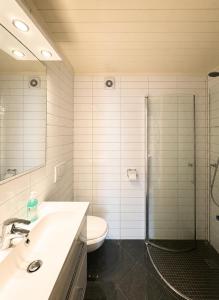 a bathroom with a toilet and a sink and a shower at Hallingstue by Hallstensgaard - Geilo in Geilo