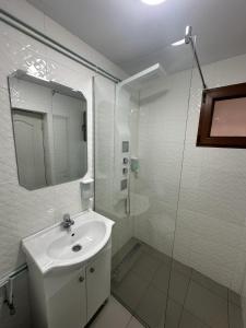 a bathroom with a sink and a shower with a mirror at CABANA MARIA-PETRIMANU in Ciungetu