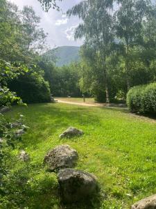 a green field with rocks in the grass at Appartement in Vielle-Aure
