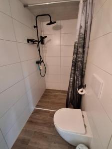 a bathroom with a toilet and a shower at Moordiele in Kröpelin