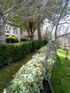 Ogród w obiekcie Parador de Puebla de Sanabria