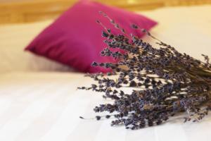 Fotografie z fotogalerie ubytování Lavender Tim v destinaci Da Lat