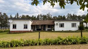 a white house with a thatched roof at Gillys Accommodation in Camperdown