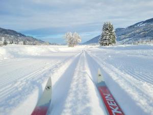 a pair of skis are in the snow at Daheim Nr 2 - Südwesterhaus Allgäu in Oberstaufen